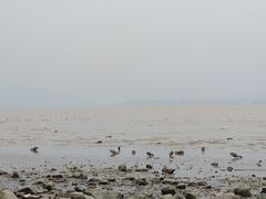 -深圳湾公园(南山区)