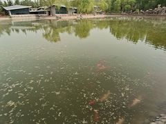 -金城公园