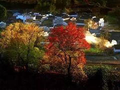 -塔川景区