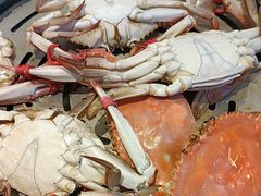 -半岛听涛蒸汽海鲜自助(K11店)