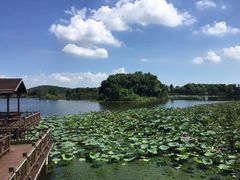 -上海市保健医疗中心(华东疗养院)