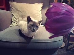 -MIKAKU(万达广场上海宝山店)