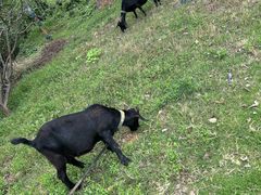 -雅和生态渔庄·宜城锅巴饭(龙灵山公园店)