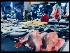 -新鸿港水果市场