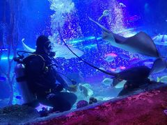 -沈阳海洋探索中心