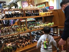 -国家自然博物馆