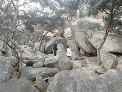 -崂山仰口游览区