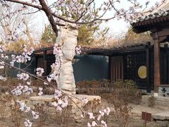 -三里河公园