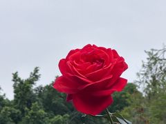 -人民公园(罗湖区)