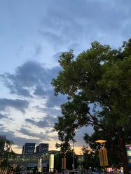 -时尚殿堂·颜SPA