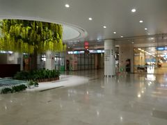 -南方医科大学深圳医院