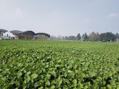 -中国天府农业博览园