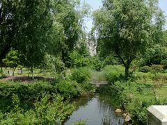 -白马涧龙池景区