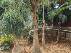 -石家庄市植物园