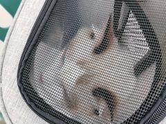 -荔康动物医院(康王北路店)