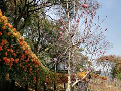 -桃花涧