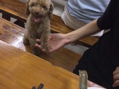 -阊门姚记豆浆(旧学前直营店)