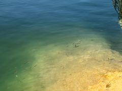 -广州市流溪河国家森林公园