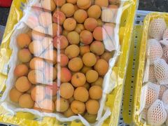 -西郊国际农产品交易中心