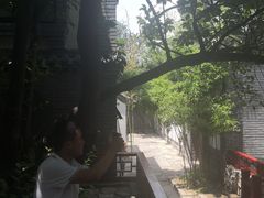 -老张烤羊(王哥庄店)