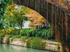 -枫桥景区