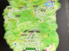 -云南野生动物园