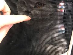 -宠匠·爱宠堡 PET CASTLE