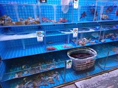 -台山美食一绝阿四台山黄鳝饭(阿四创作店)