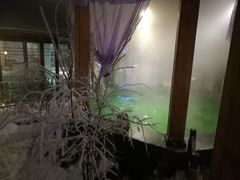 -汉拿山温泉度假酒店
