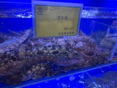 -新海渔港·胶东海鲜家常菜·家宴(奥体中心店)