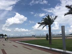 -野狸岛