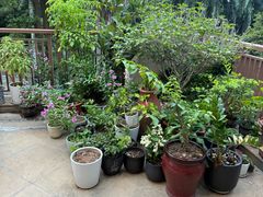 -茶油香闽南菜·花园餐厅(前埔店)