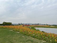 -径山花海