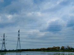 -池杉湖湿地公园