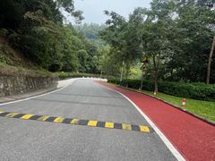 -火炉山森林公园