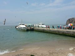 -海驴岛(荣成市)