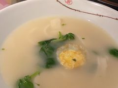 -梧桐