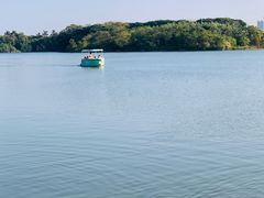 -海珠湖公园