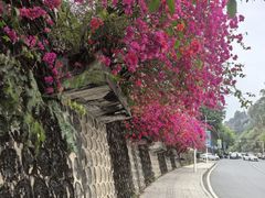 -白云山风景名胜区