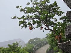 -萍乡武功山风景名胜区