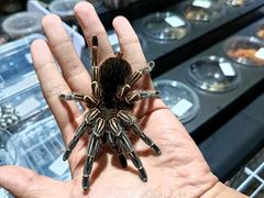 -宁波国际会展中心