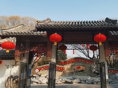 -团结湖公园