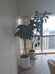 -HEYAN荷妍专业脱毛连锁机构