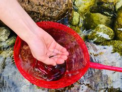 -陕西省红河谷森林公园