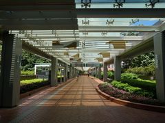 -香港大学