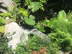 -新世纪大酒楼·30年南海菜