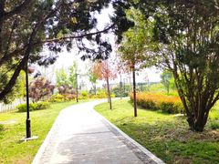 -洛阳古墓博物馆