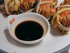 -杨氏青龙虾·羊蝎子(托乐嘉店)