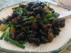 紫苏山坑螺-开心农家菜
