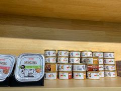 -猫十亿·布偶金渐层·曼基康矮脚猫舍(青年路店)